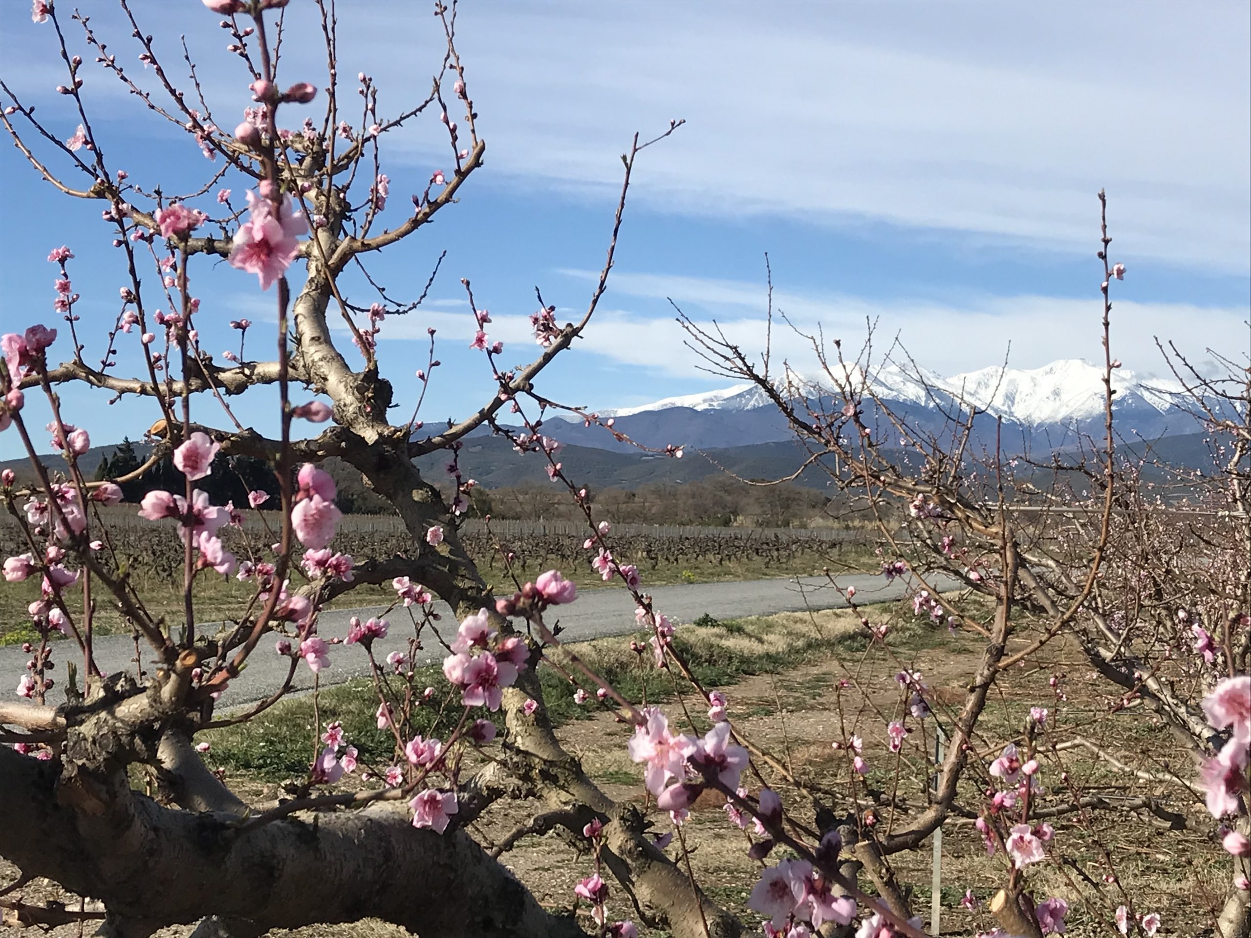 Vélo ROUTE groupes I, II et III