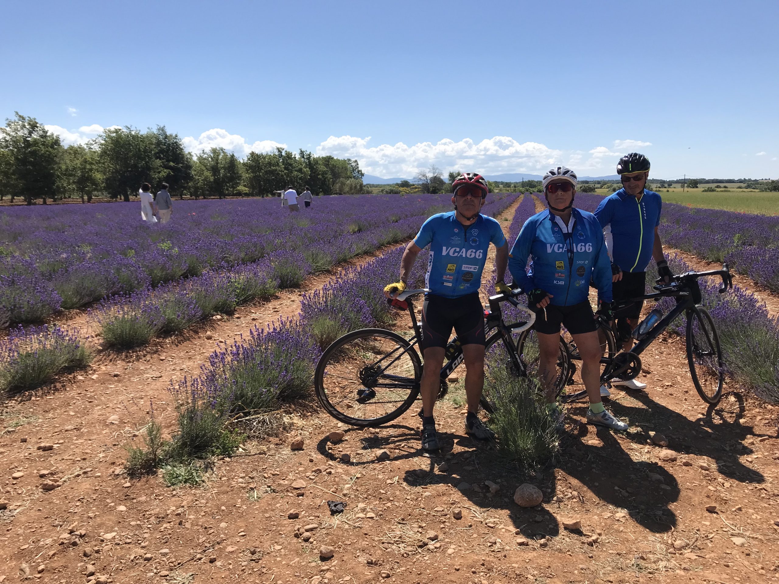 Vélo ROUTE groupe I, II et III