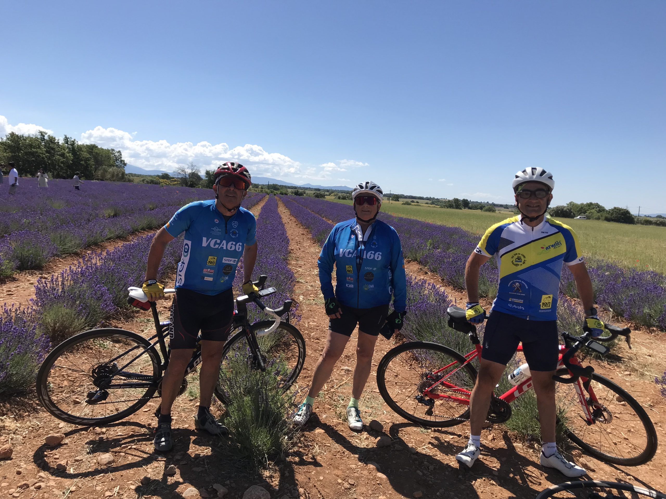 Vélo ROUTE groupe I, Il et III
