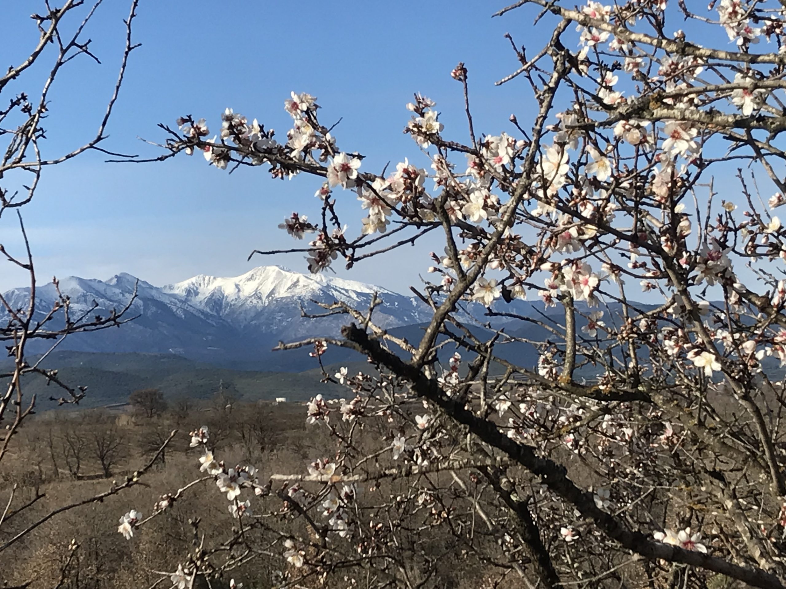 Vélo ROUTE groupe I, II et III